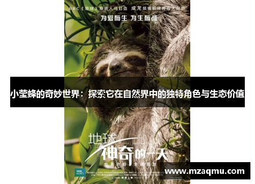 小莹蜂的奇妙世界：探索它在自然界中的独特角色与生态价值